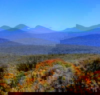 Arcadia Wines - Hervey Bay Accommodation