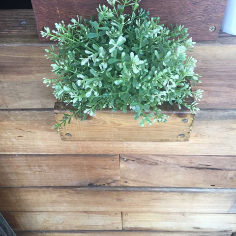 Double Mac - Hervey Bay Accommodation 0