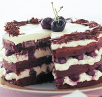 The Cheesecake Shop - Indooroopilly - Hervey Bay Accommodation