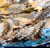 Atrium - Hervey Bay Accommodation