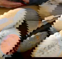 Big Bun - Hervey Bay Accommodation