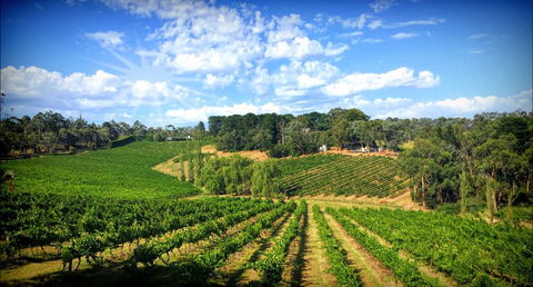 Kellybrook Winery And Kelly Brothers Cider - Tourism Hervey Bay 0