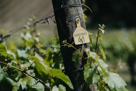 Kellybrook Winery And Kelly Brothers Cider - Tourism Hervey Bay 2
