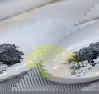 Moxhe - Tourism Hervey Bay