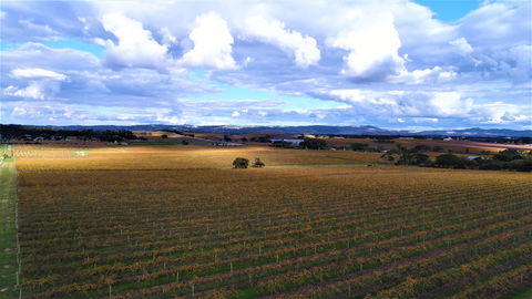 Schubert Estate - Tourism Hervey Bay 0