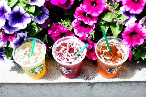 Starbucks - Hurstville - Tourism Hervey Bay 0