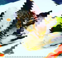 Dumpling Yum Cha Ballina - Tourism Hervey Bay