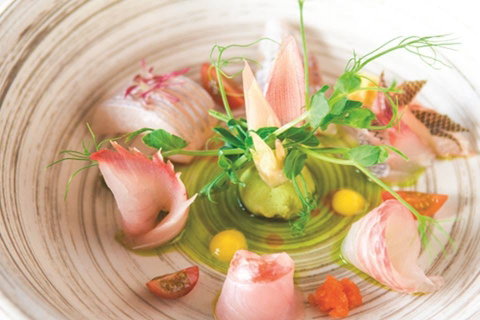 TARA SUSHI BAR - Hervey Bay Accommodation 0