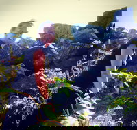 The Galley - Tourism Hervey Bay