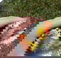 Yuri Sushi - Hervey Bay Accommodation