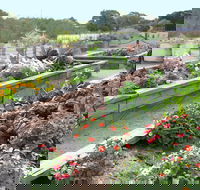 The Farmer's Place - Tourism Hervey Bay