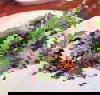 YaYa Bar and Eatery - Hervey Bay Accommodation