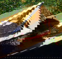 Byron Juice Bar - Tourism Hervey Bay