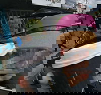 Chocobean - Hervey Bay Accommodation