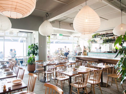 North Bondi Fish - Hervey Bay Accommodation 1