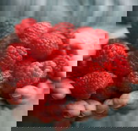 Christmas Hills Raspberry Farm Cafe - Hervey Bay Accommodation