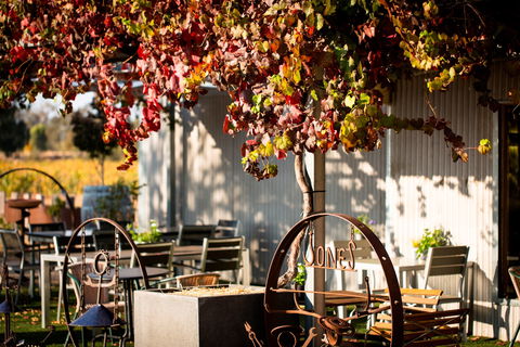 Jones Winery & Vineyard - Tourism Hervey Bay 0