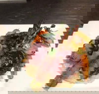 Little Manly Beach Kiosk - Hervey Bay Accommodation