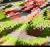 Runaway Cupcakes - Hervey Bay Accommodation