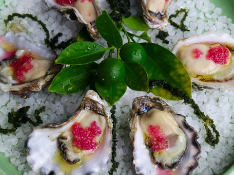 Bella Char Restaurant + Wine Bar - Tourism Hervey Bay 0