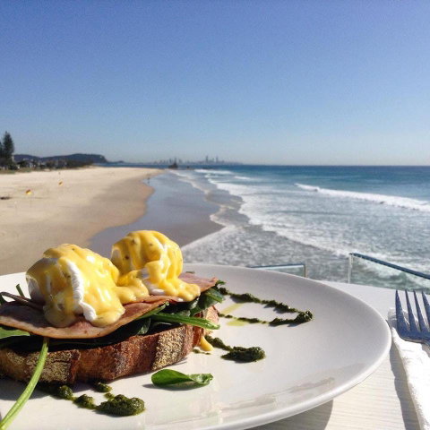 Chompers - Annerley - Hervey Bay Accommodation 0