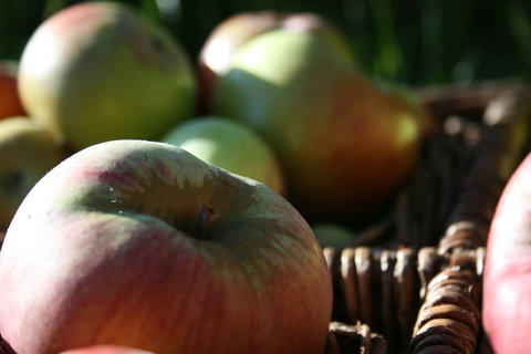 Denmark Heritage Cider Company - Hervey Bay Accommodation 0