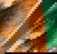 Kappaya - Hervey Bay Accommodation