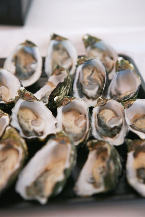 S.D. Caputo And Sons - Tourism Hervey Bay 0