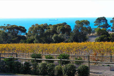 Terindah Estate - Tourism Hervey Bay 2