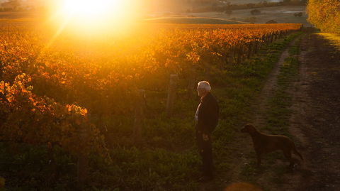 HOOSEGG Cellar Door - Tourism Hervey Bay 0