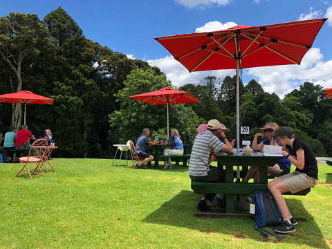 Poppies  Cafe - Hervey Bay Accommodation 1