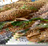 Bean Out - Hervey Bay Accommodation