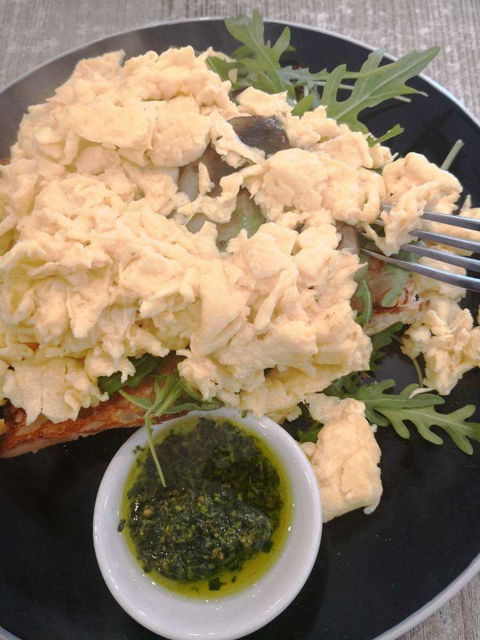 Toasta - Tourism Hervey Bay 0