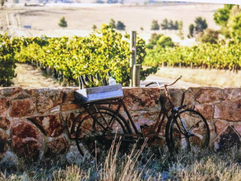 Booths Taminick Cellars - Hervey Bay Accommodation 1