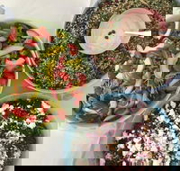 Abbotsford Zest Chargrill Chicken - Hervey Bay Accommodation