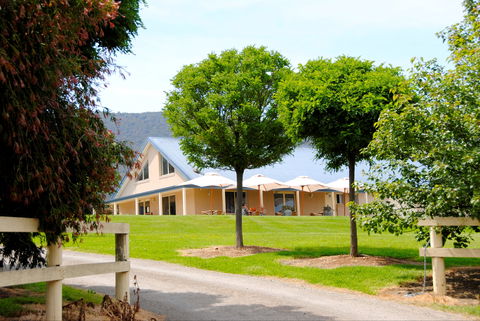 Badger Creek Blueberry Winery - Tourism Hervey Bay 0