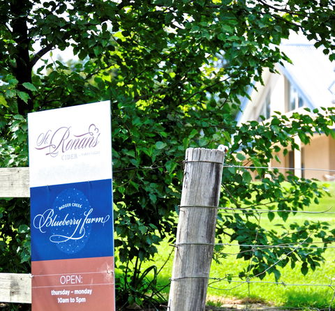 Badger Creek Blueberry Winery - Tourism Hervey Bay 1