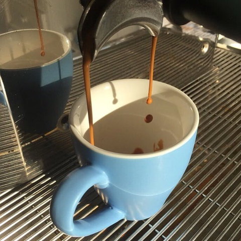 Miss Peppercorn - Hervey Bay Accommodation 0