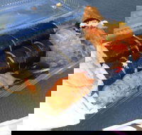 Mr Sushi - Hervey Bay Accommodation