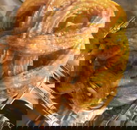 Love Kebabs - Hervey Bay Accommodation