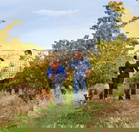 WayWood Wines - Tourism Hervey Bay