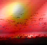 Four Birds - Hervey Bay Accommodation