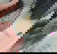 Sushi Sushi - Greensborough - Hervey Bay Accommodation