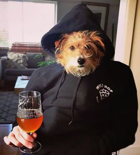 Wild Hop Brewing Company - Hervey Bay Accommodation 1