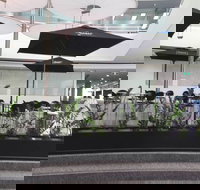 Basia Mille - Hervey Bay Accommodation