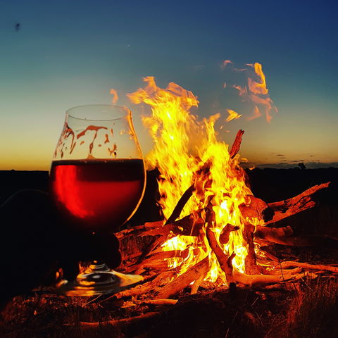 Black Dog Brewery - Hervey Bay Accommodation 0