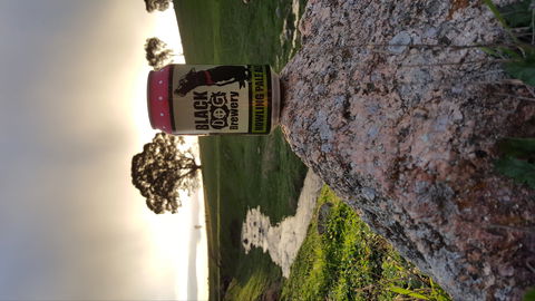 Black Dog Brewery - Hervey Bay Accommodation 2