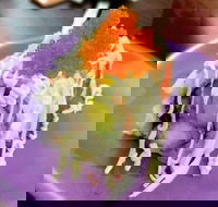 Oishi Ya - Hervey Bay Accommodation