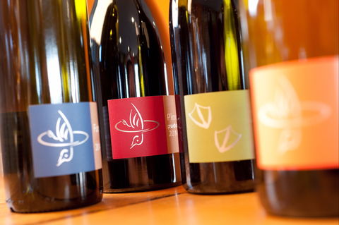 Puddleduck Vineyard - Hervey Bay Accommodation 2