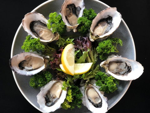 The Wharf At Port Fairy - Tourism Hervey Bay 1
